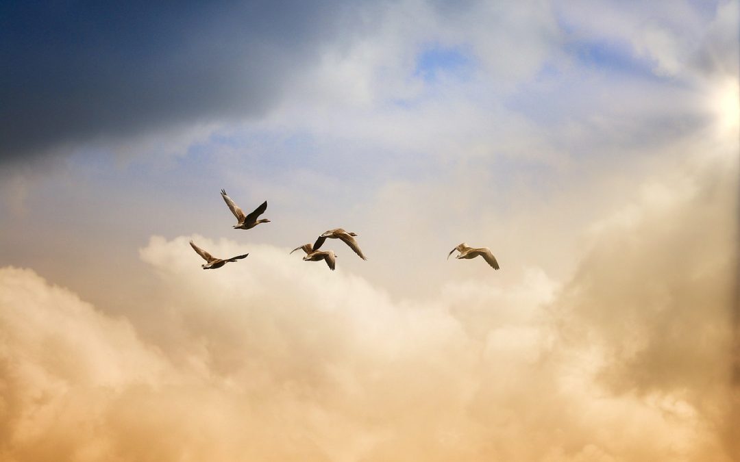 Panduan untuk Mengubah Data di Paspor di Minahasa Utara